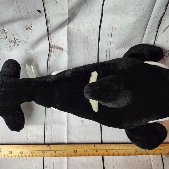 Sea world orca whale killer whale - Picture 5 of 5